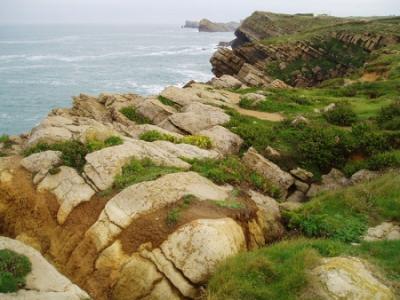 Parque Natural de Liencres vegetación y fauna